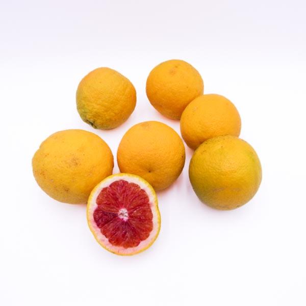 Oranges Sanguine Moro AB