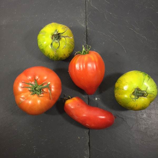 Tomates Anciennes Mixtes AB