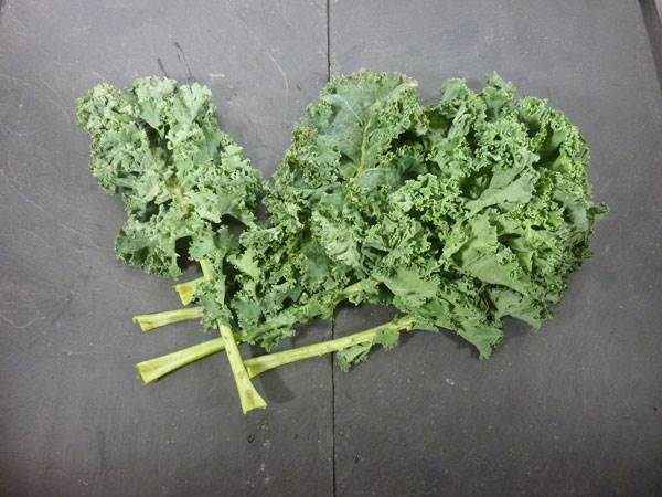 Chou Kale (feuilles) AB