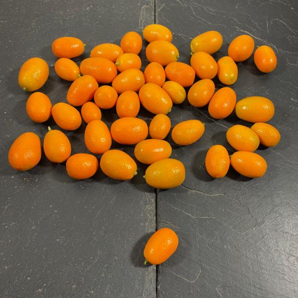 Kumquat AB